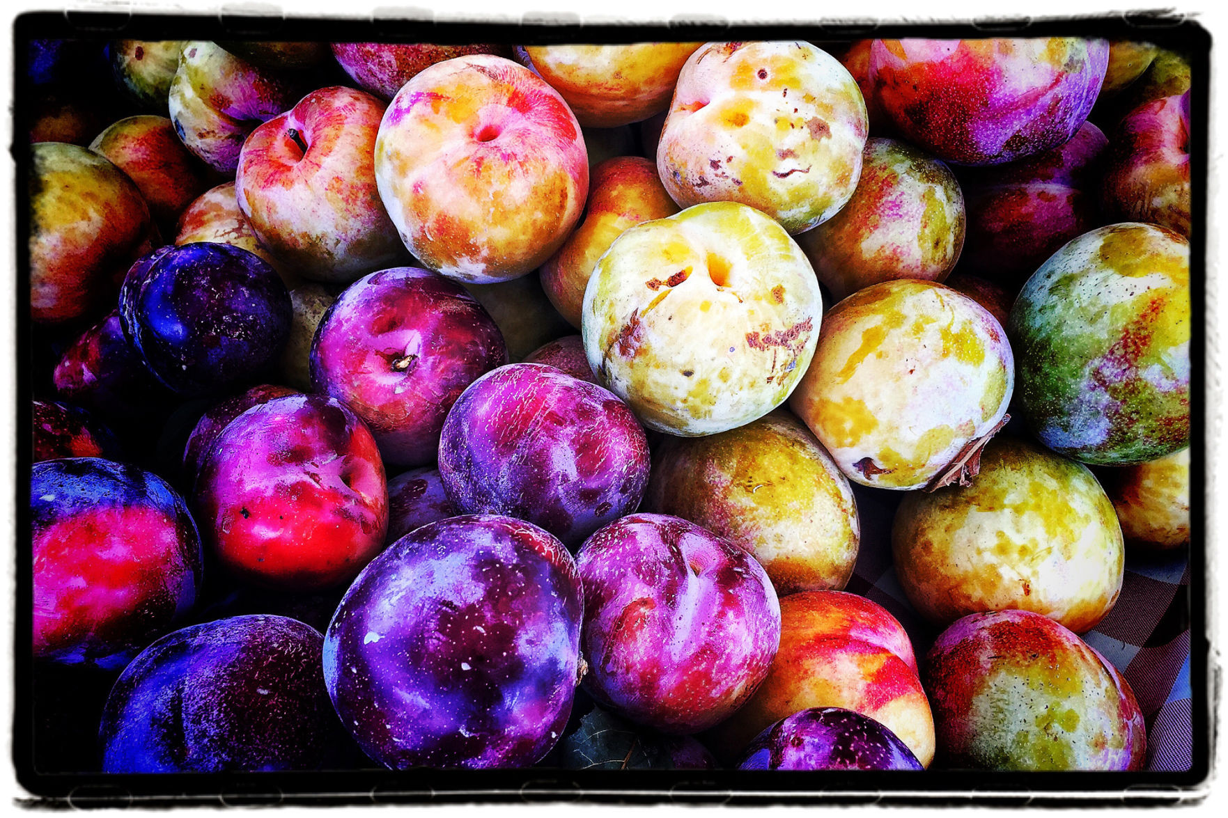 Farmers Market